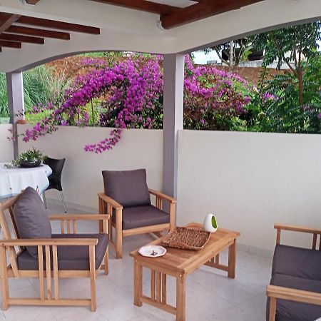 Paradis Cache - Confort Terrasse - Kybo Karaib Location - Pkg - Mtgne Sainte-Marie Zewnętrze zdjęcie