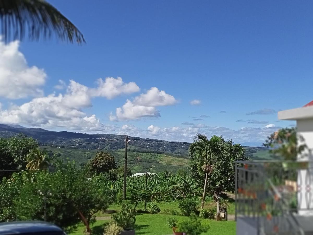 Paradis Cache - Confort Terrasse - Kybo Karaib Location - Pkg - Mtgne Sainte-Marie Zewnętrze zdjęcie